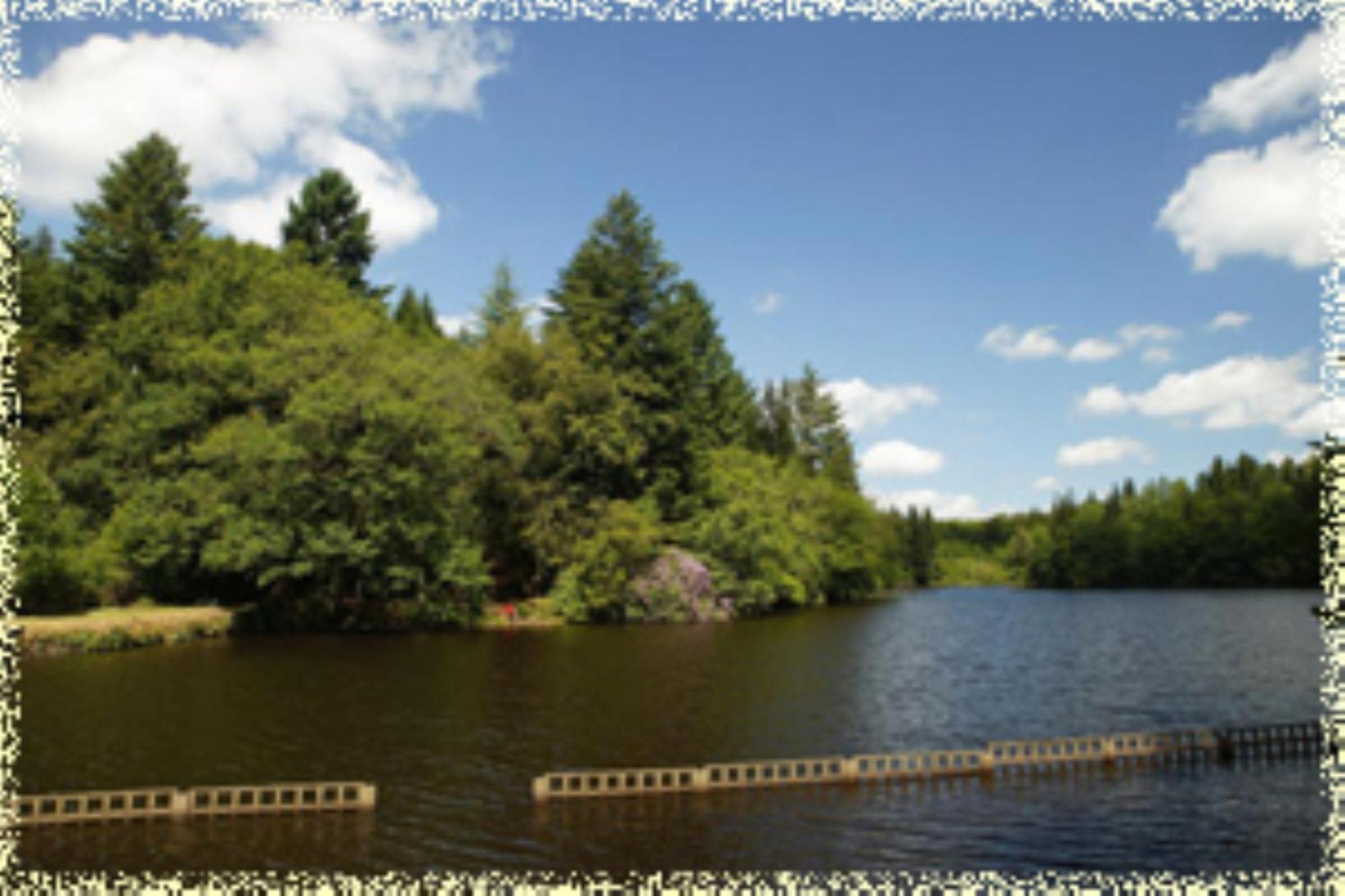 Hotellerie De Plein Air Camping Leychoisier Bonnac-la-Côte Eksteriør billede