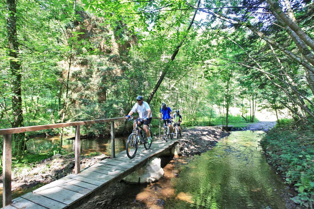 Hotellerie De Plein Air Camping Leychoisier Bonnac-la-Côte Eksteriør billede